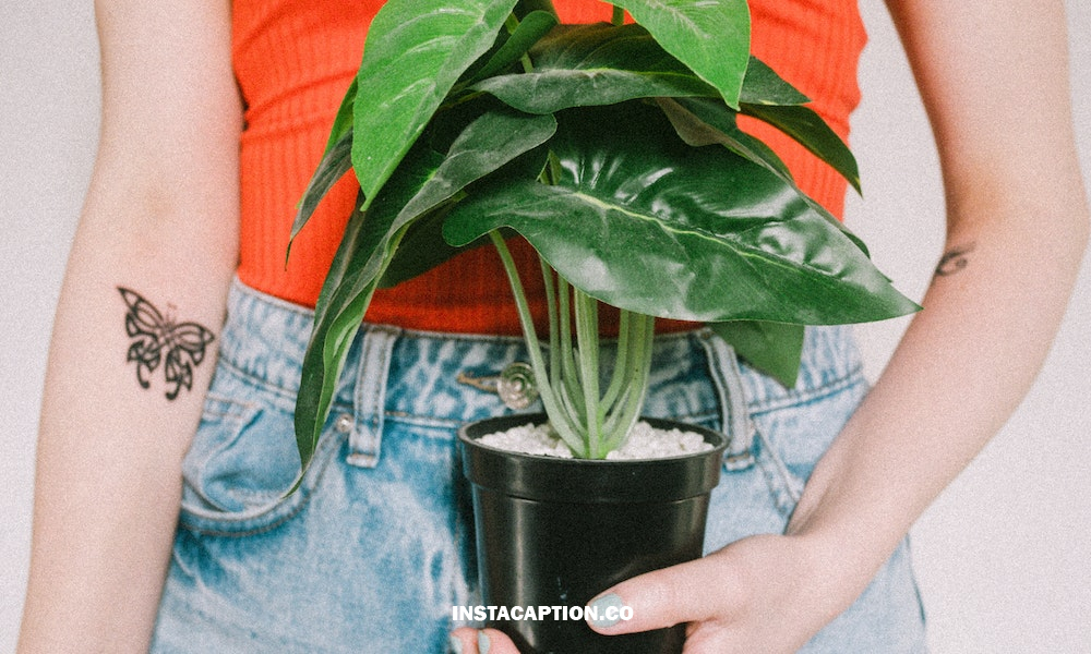 Butterfly Tattoo Quotes And Captions For Instagram