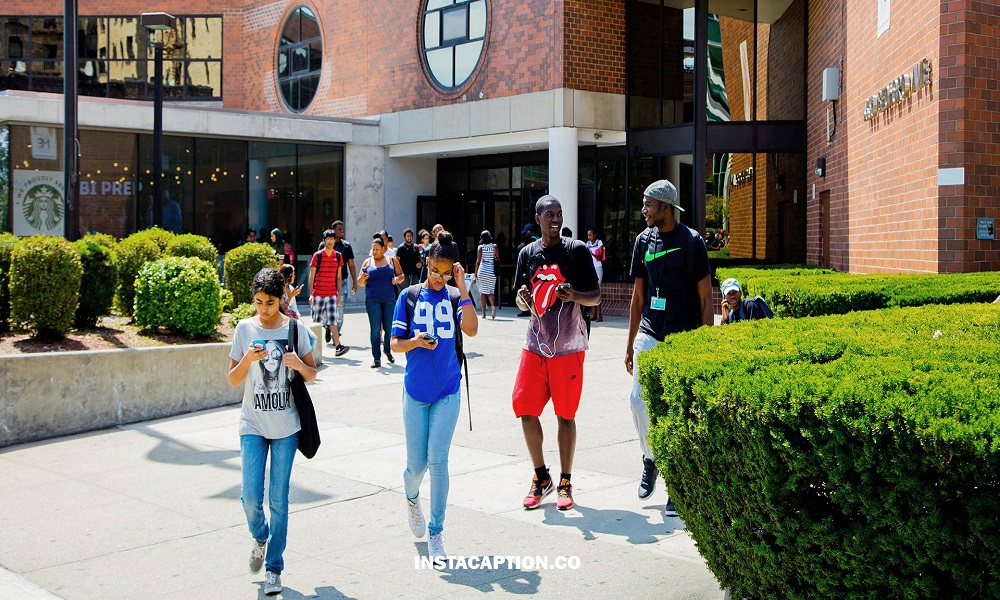 College Instagram Captions And Quotes