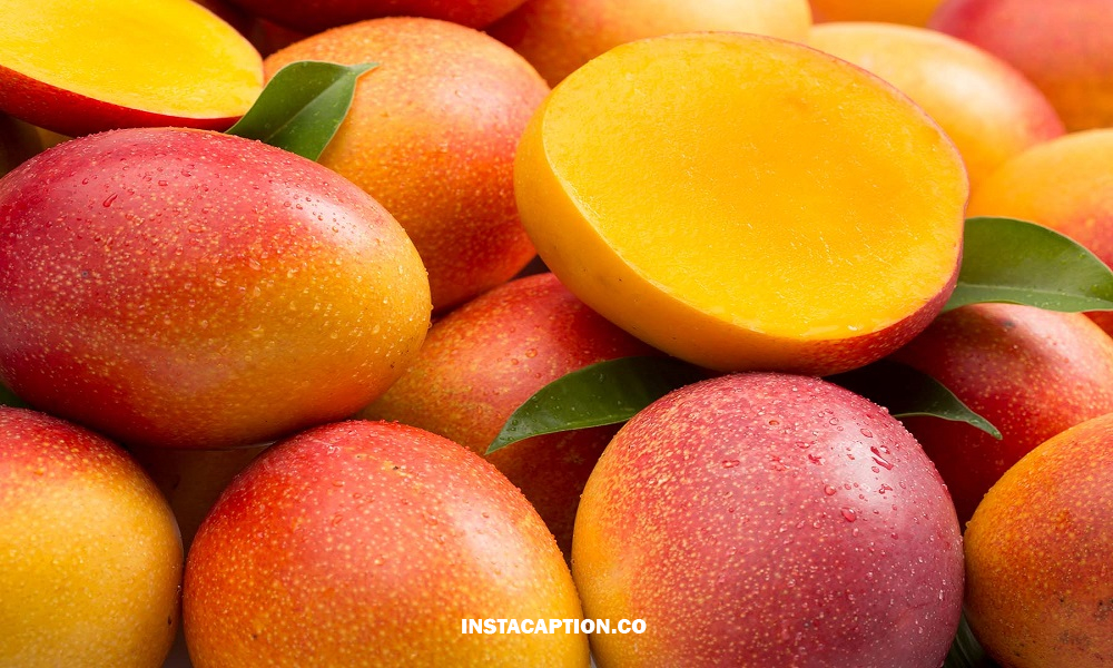 Mango Captions For Instagram