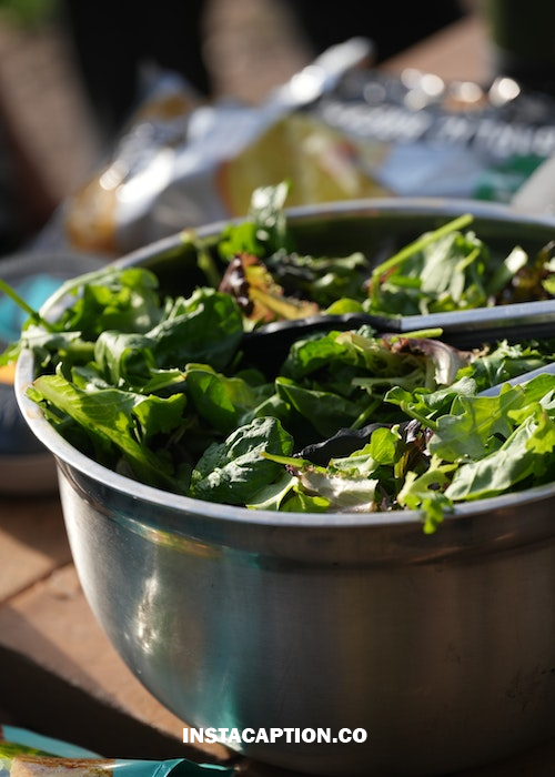Salad Captions For Instagram