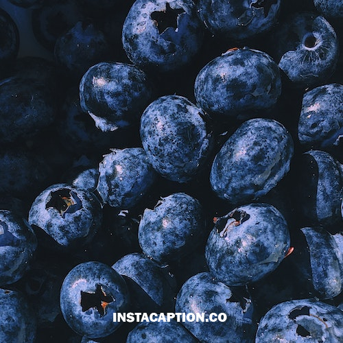Funny Fruit Captions For Instagram