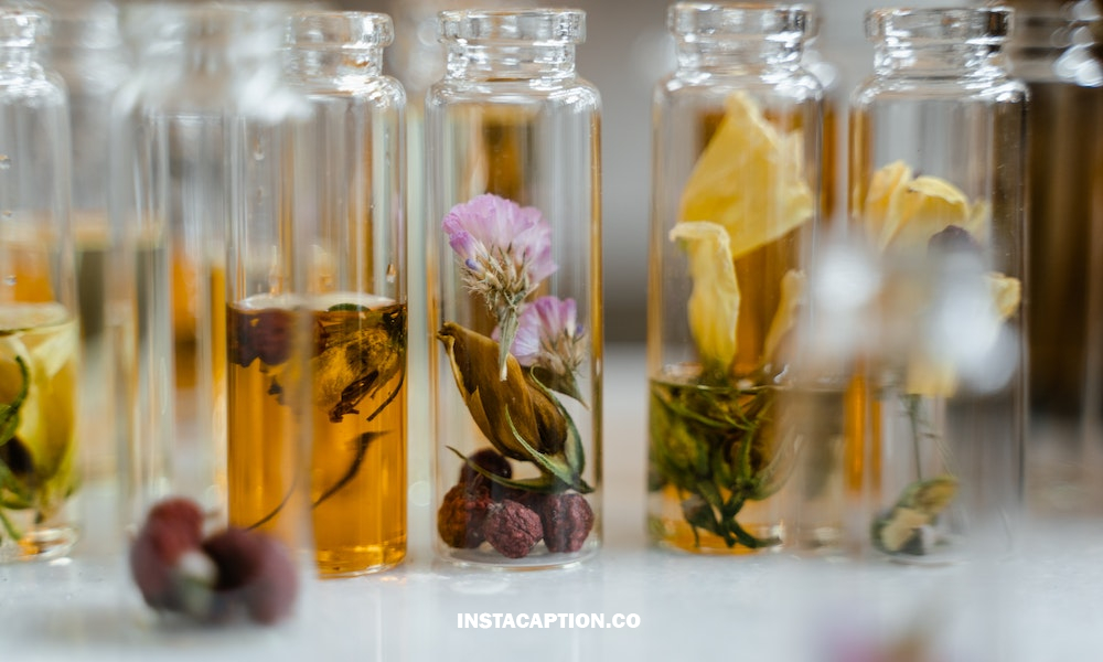 Perfume Captions For Instagram