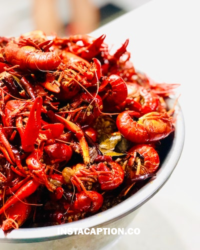 Quotes About Seafood Lover