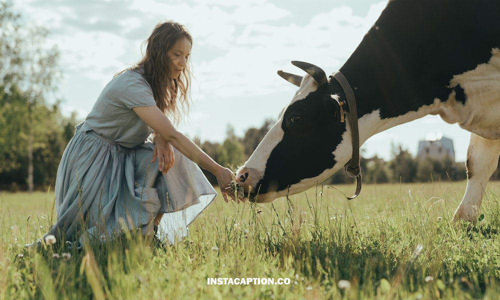 Cowgirl Captions For Instagram