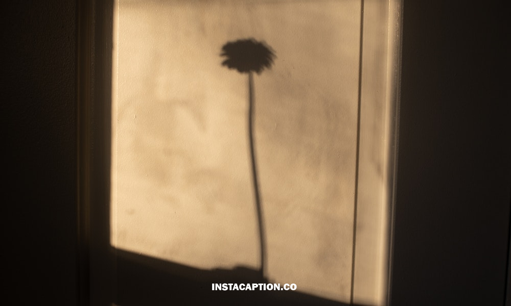 Shadow Captions For Instagram