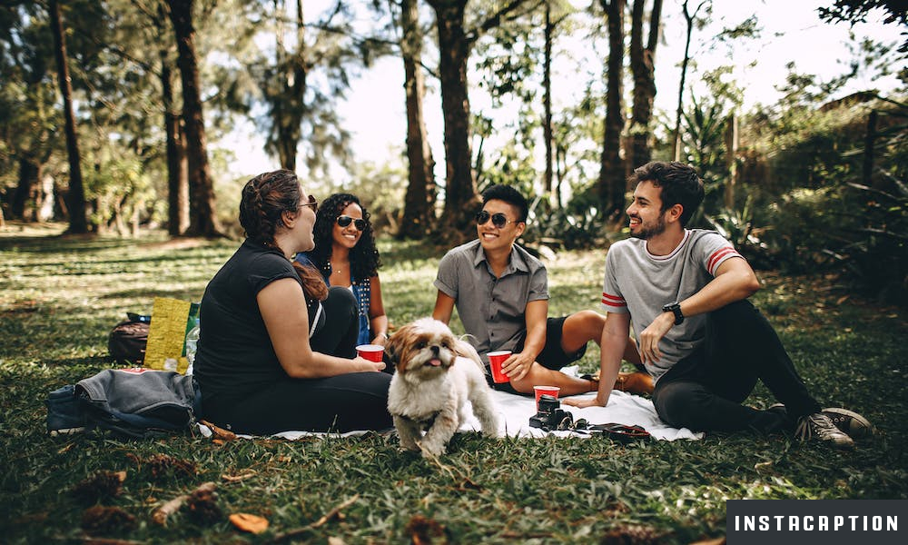 Picnic Captions For Instagram