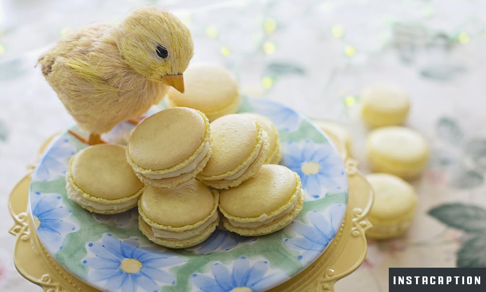 Sweetness Captions For Instagram