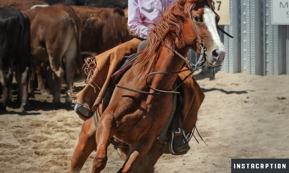 Western Captions For Instagram