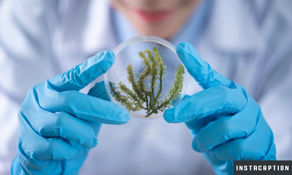 Biology Captions For Instagram