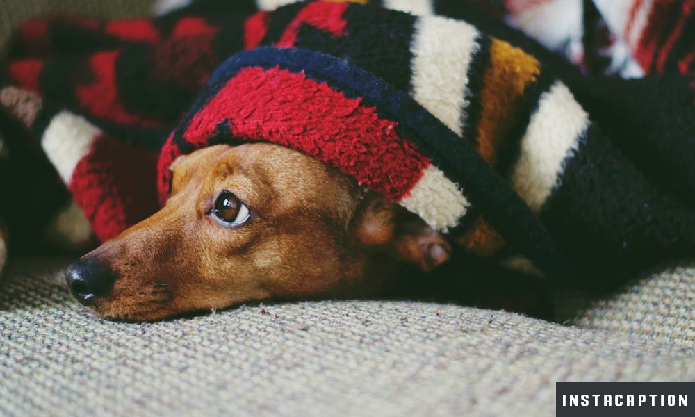 Blanket Captions For Instagram