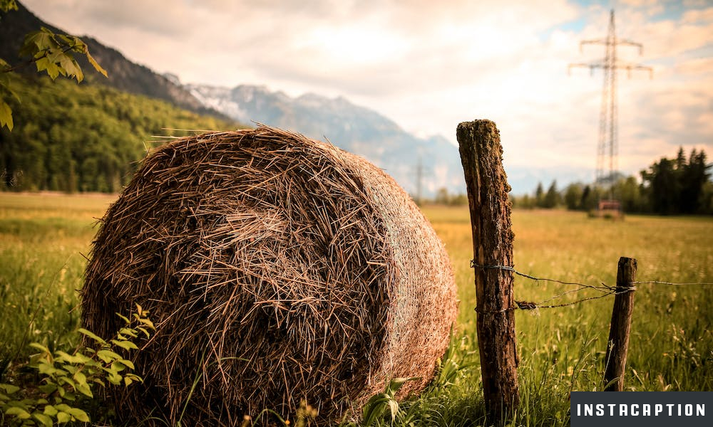 Country Captions For Instagram