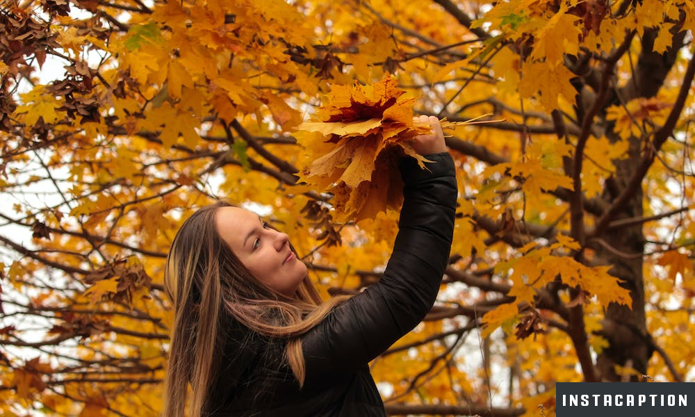 Falling Leaves Captions For Instagram
