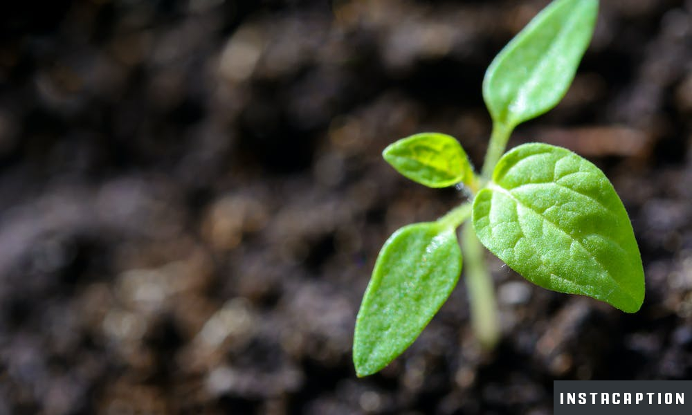 Grow Up Captions For Instagram