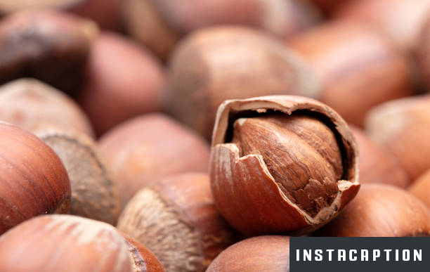 Hazelnut Captions For Instagram