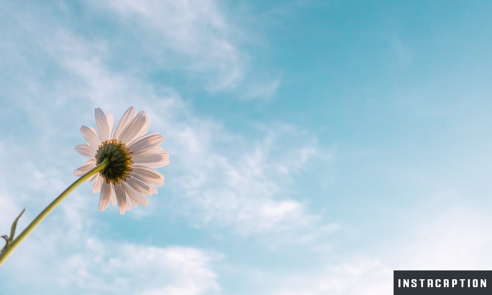 Heaven Captions For Instagram