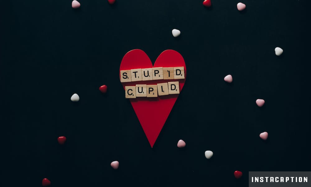 Stupid Captions For Instagram