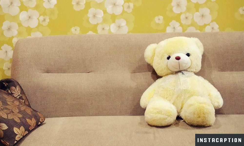 Teddy Bear Captions For Instagram