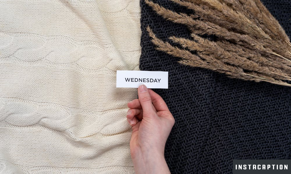 Tuesday Captions For Instagram