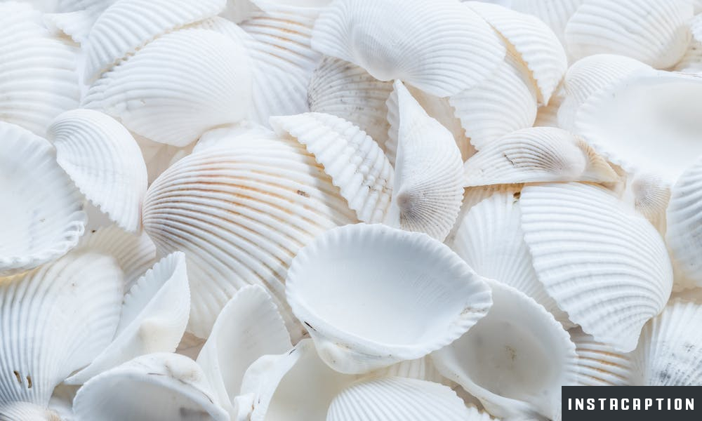 White Captions For Instagram